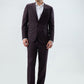 Raymond Maroon Suit
