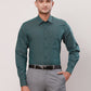 Raymond Green Formal Shirts