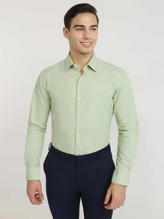 Raymond Green Shirt 