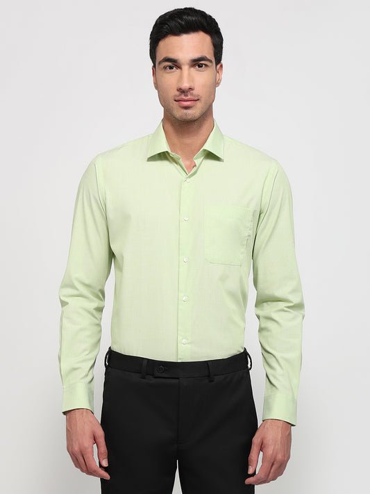 Raymond Green Shirt 