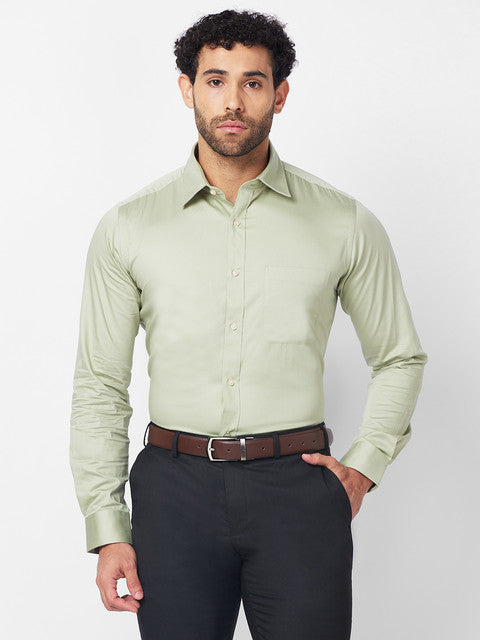 Raymond Green Formal Shirt 