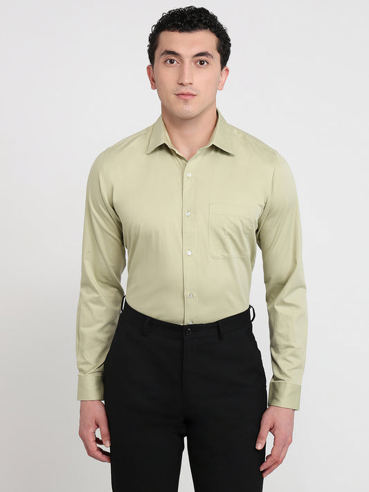 Raymond Green Shirt 