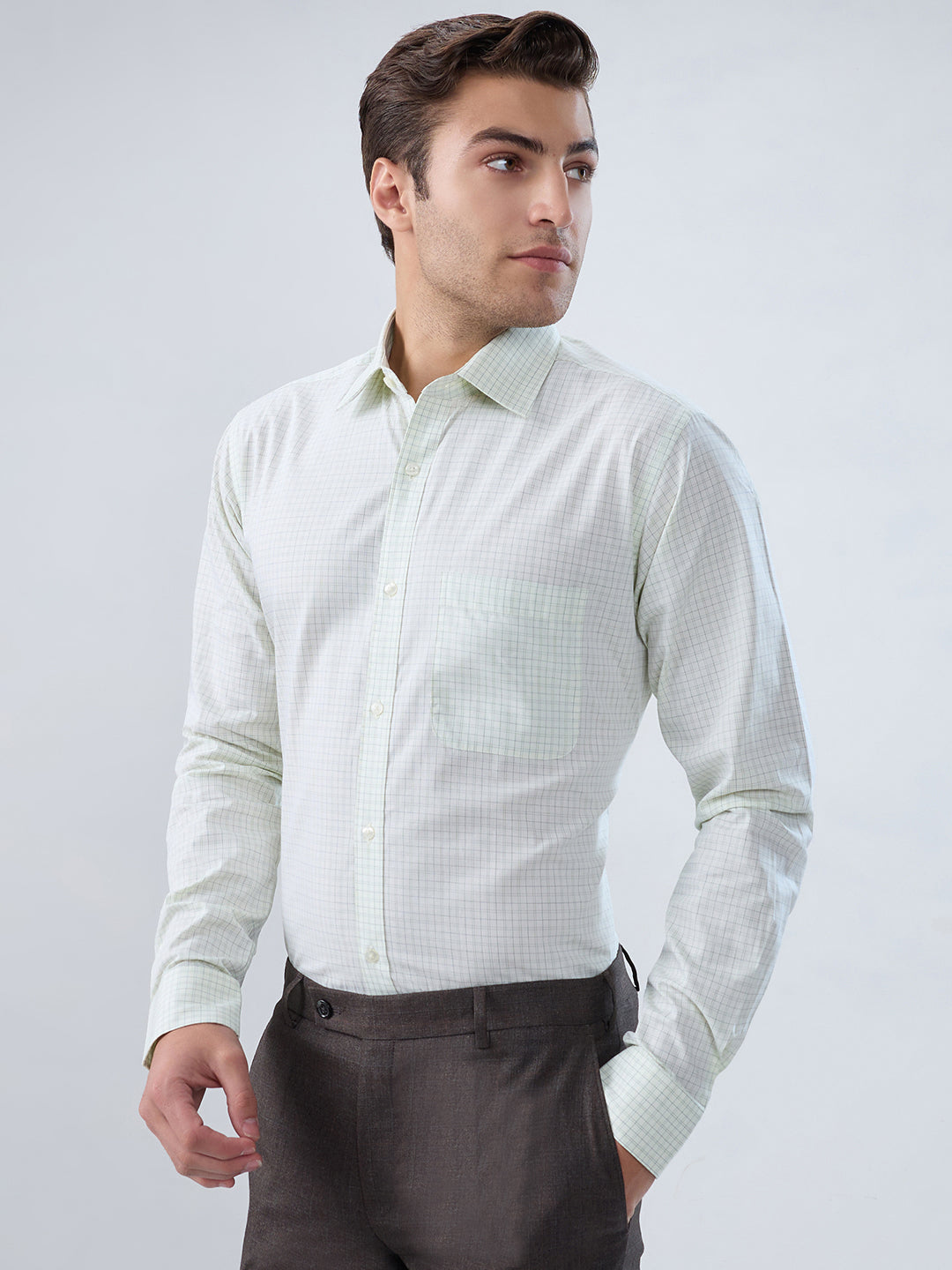Raymond Green Shirt