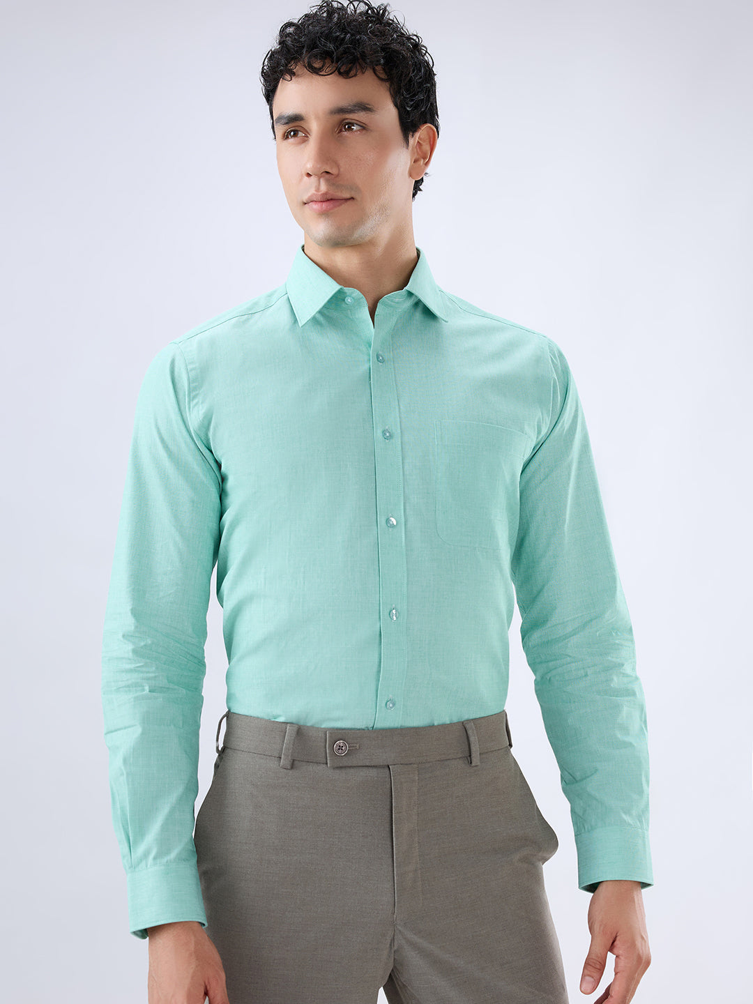Raymond Green Formal Shirt
