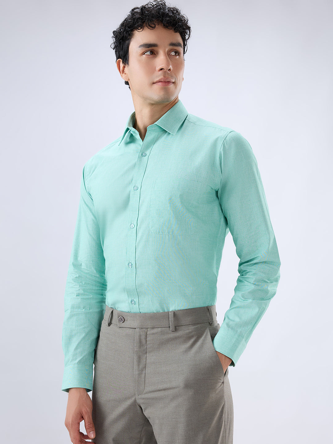 Raymond Green Formal Shirt
