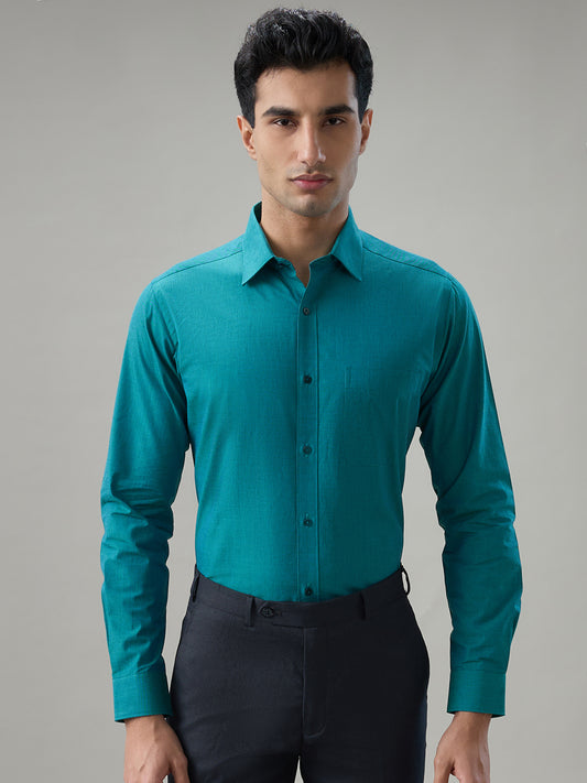 Raymond Green Shirt