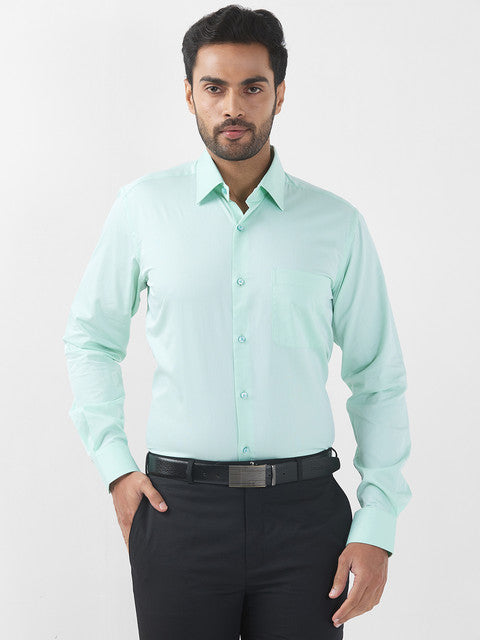 Raymond Green Formal Shirts