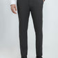 Raymond Grey Trouser