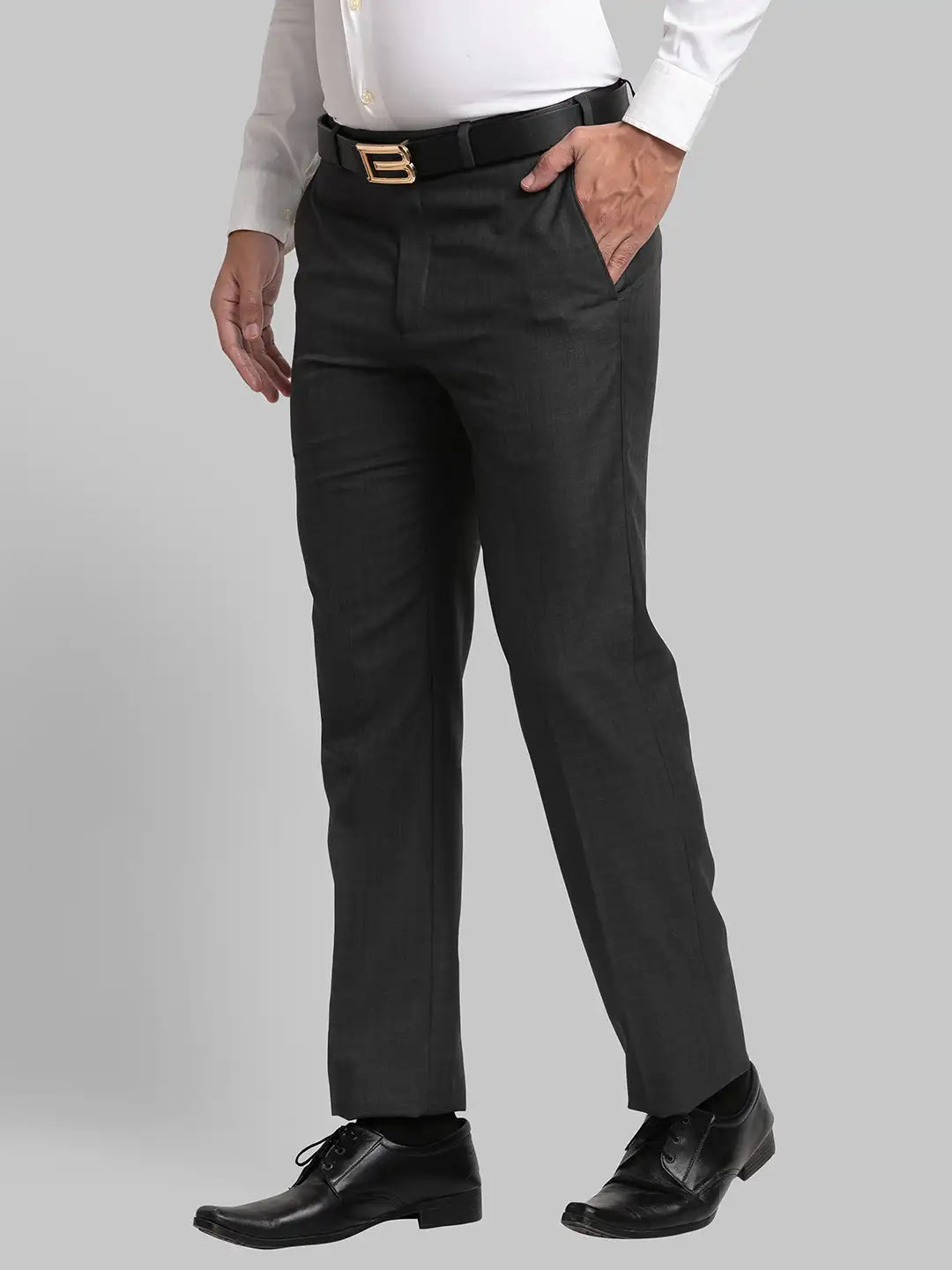 Men Regular Fit Grey Chinos & Trouser