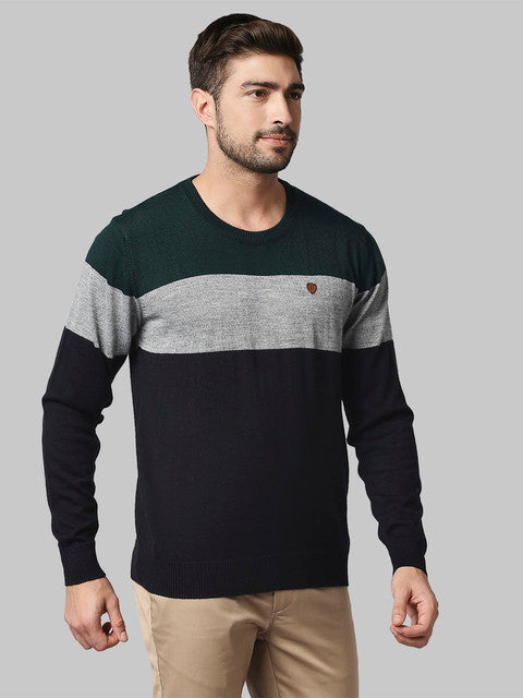 Raymond Green Sweater