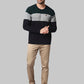 Raymond Green Sweater