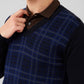 Raymond Blue Sweaters