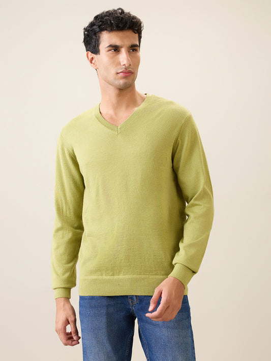 Raymond Green Sweater