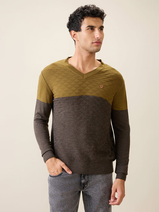 Raymond Green Sweater