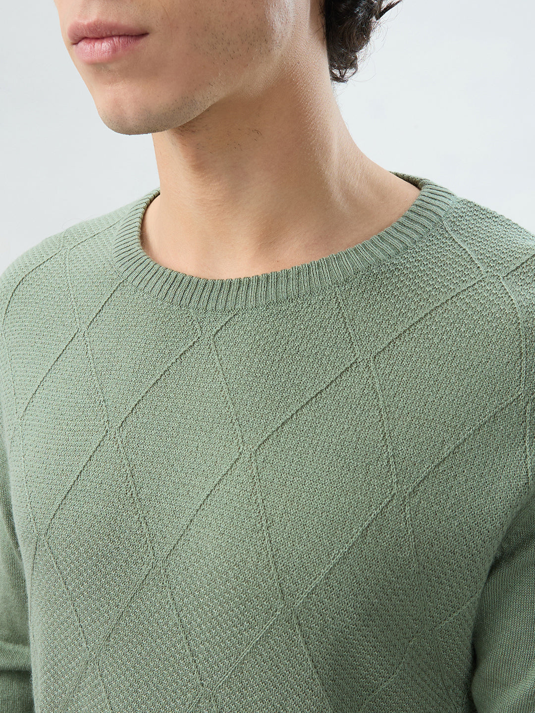 Raymond Men Green Solid Round Neck Collar Sweatshirt