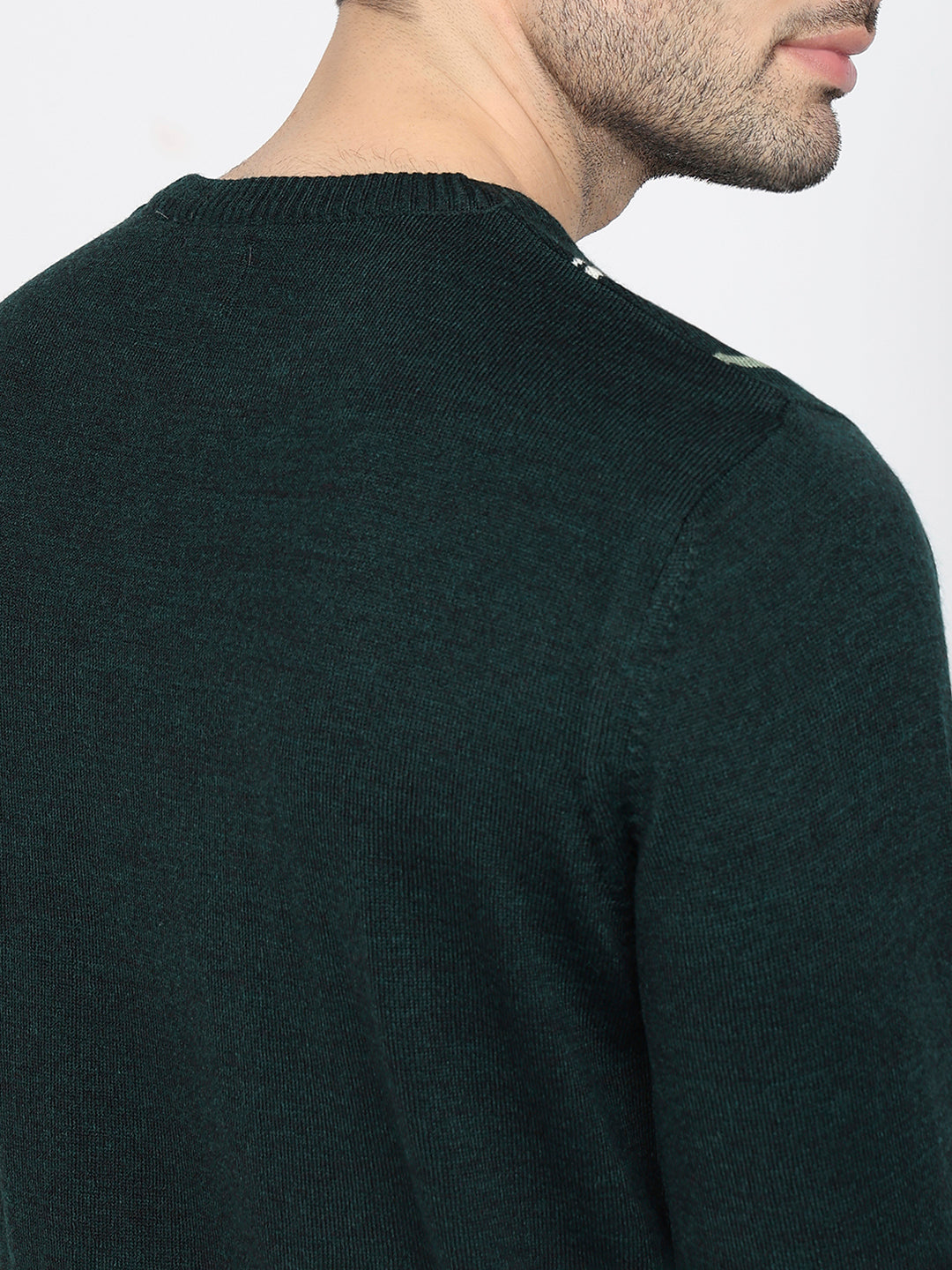 Raymond Men Green Stripe Sweater