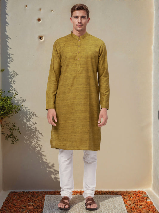 Ethnix by Raymond Green Kurta