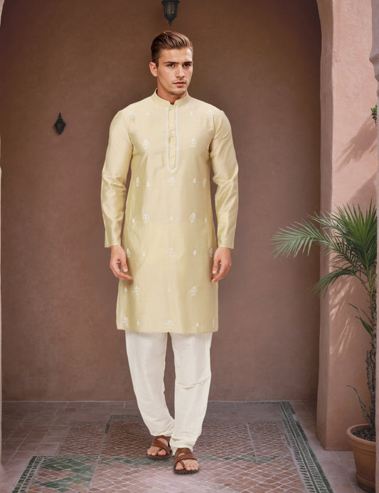 Ethnix by Raymond Brown Kurta
