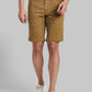 Parx Brown Shorts