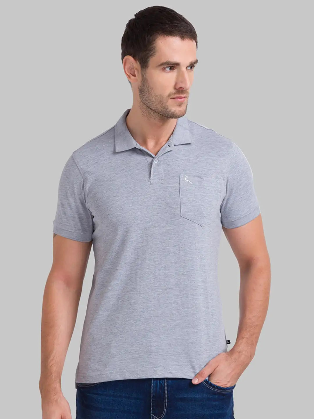 Men Regular Fit Fawn Polo