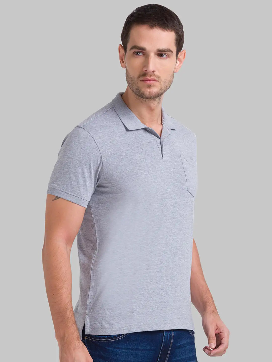 Men Regular Fit Fawn Polo