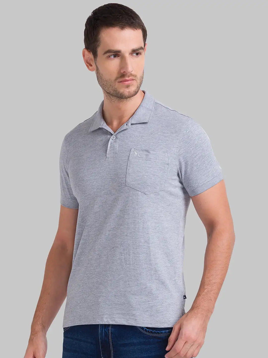 Men Regular Fit Fawn Polo