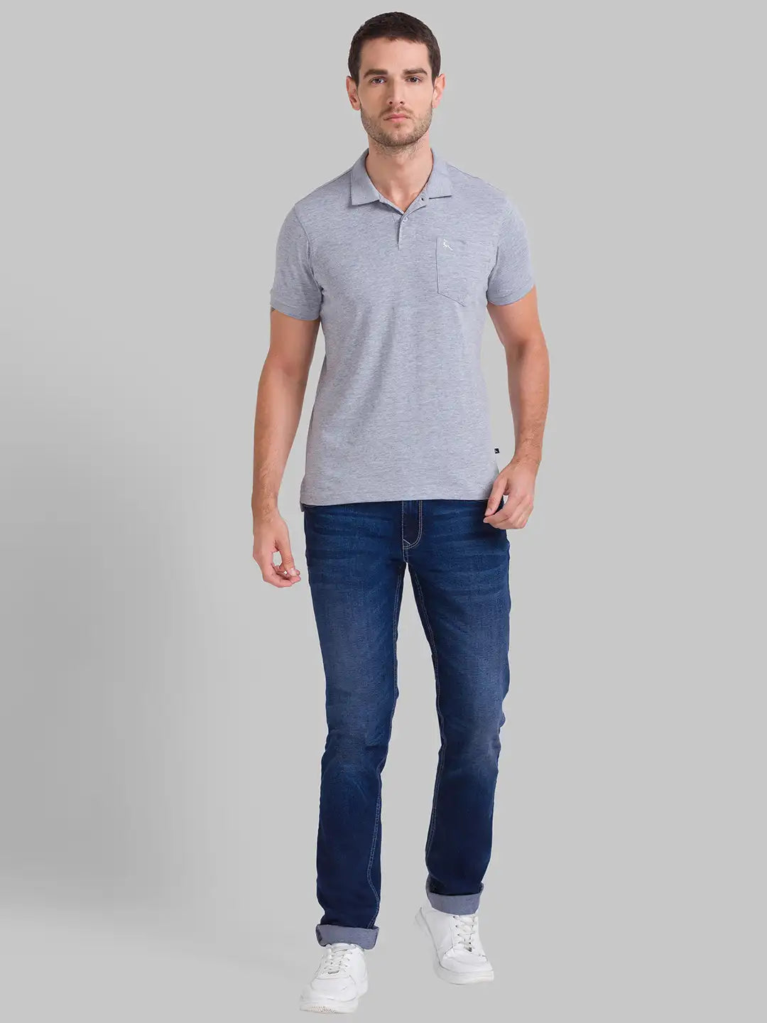 Men Regular Fit Fawn Polo