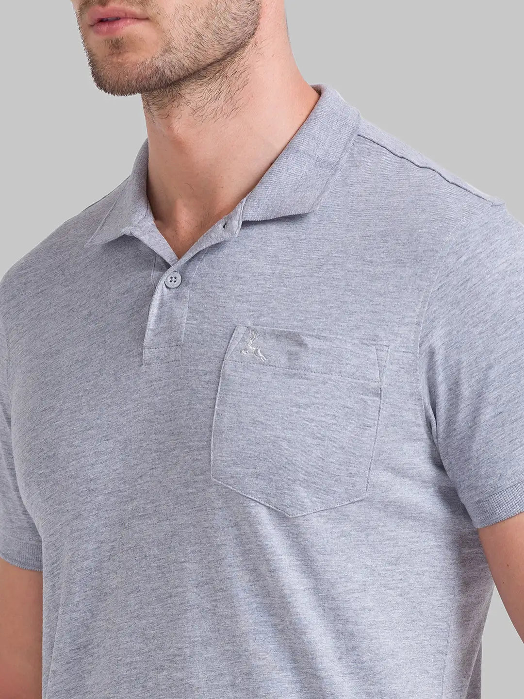 Men Regular Fit Fawn Polo