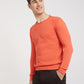 Parx Men Orange Structure Cotton Full Sleeve Round Neck Collar Sweater