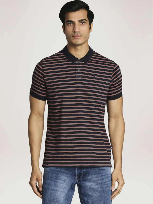 Parx Men Blue Stripe Regular Fit Casual Polo