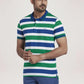 Colorplus Men Medium Green Stripe Slim Fit Casual T-Shirt