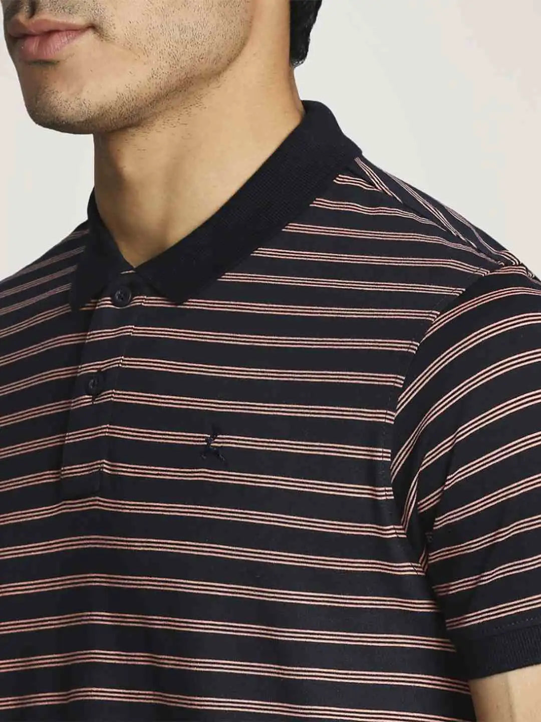 Parx Men Blue Stripe Regular Fit Casual Polo