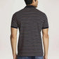 Parx Men Blue Stripe Regular Fit Casual Polo