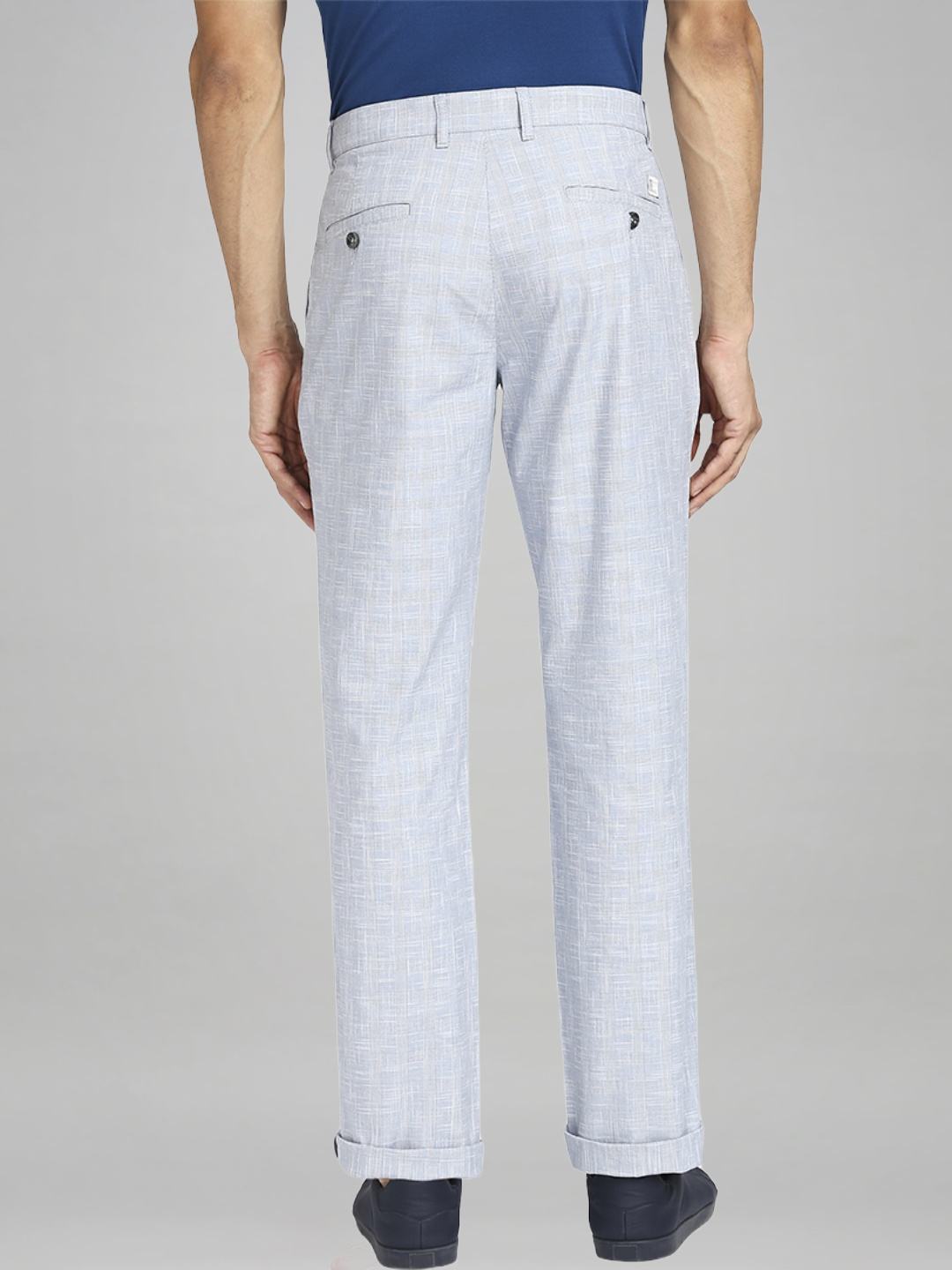 Colorplus Men Medium Blue Checks Regular Fit Casual chinos