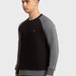 Men Tailored Fit Brown Sweatshirt
