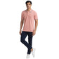 Men Contemporary Fit Green Chinos