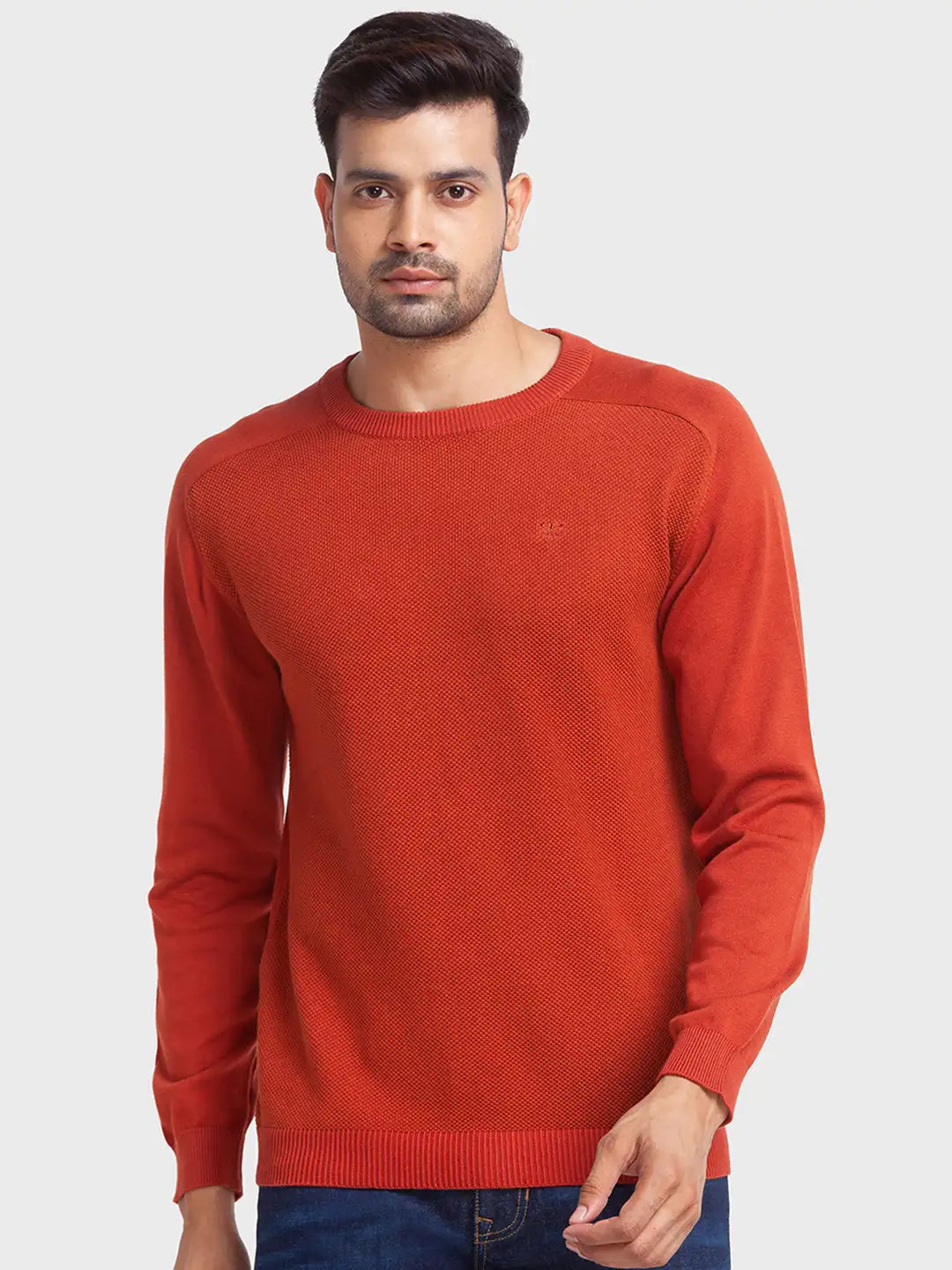 Men Tailored Fit Green Sweater