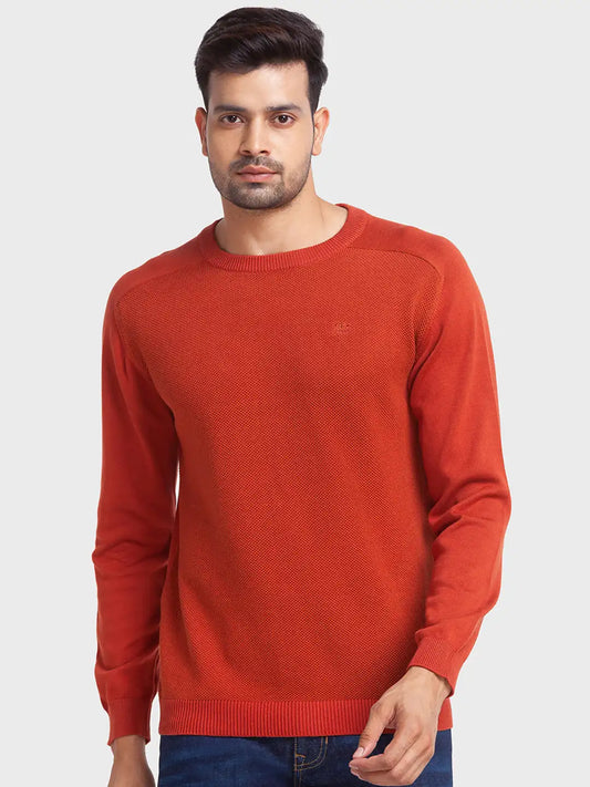 Men Tailored Fit Green Sweater