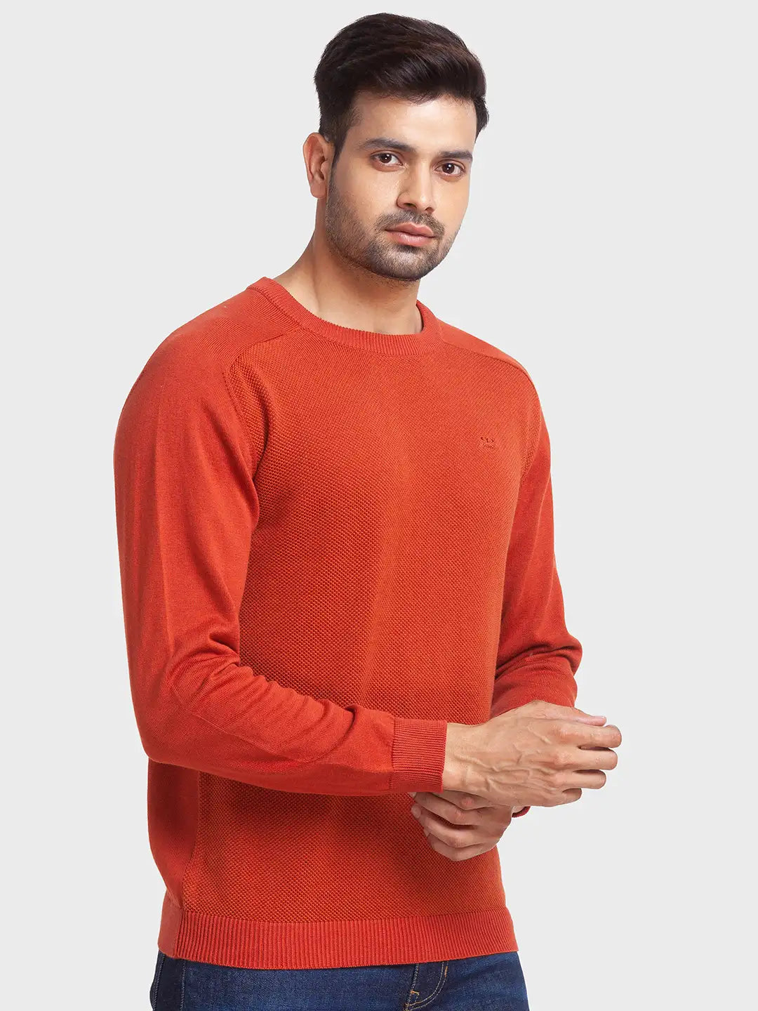 Men Tailored Fit Green Sweater