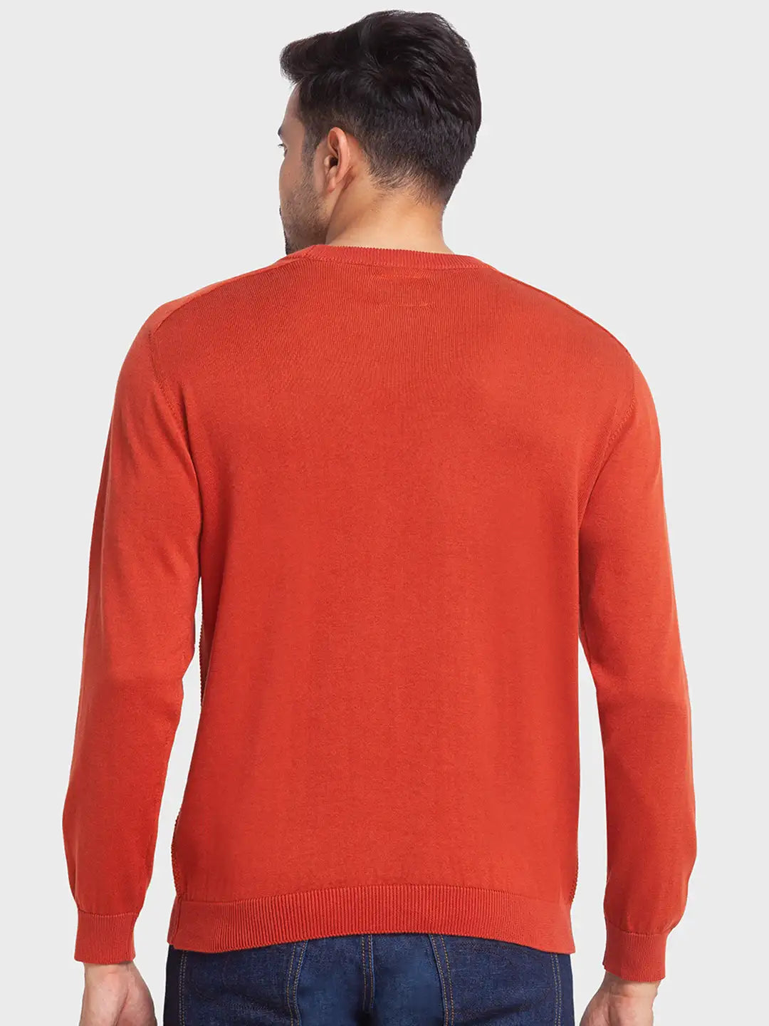 Men Tailored Fit Green Sweater