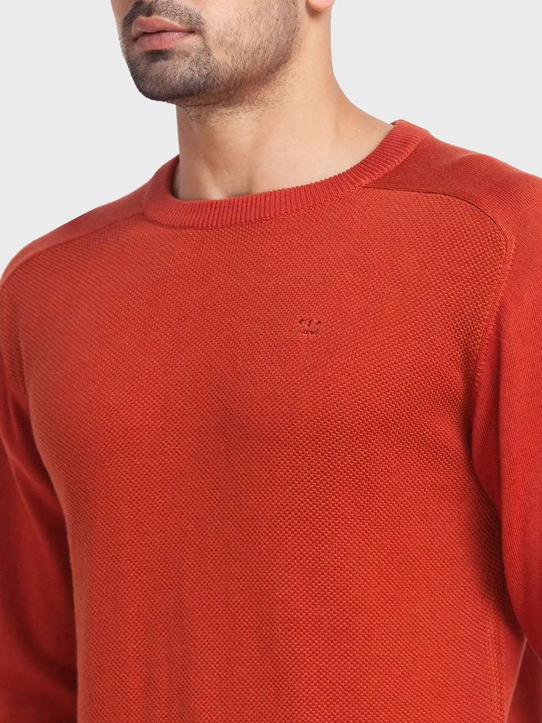 Men Tailored Fit Green Sweater