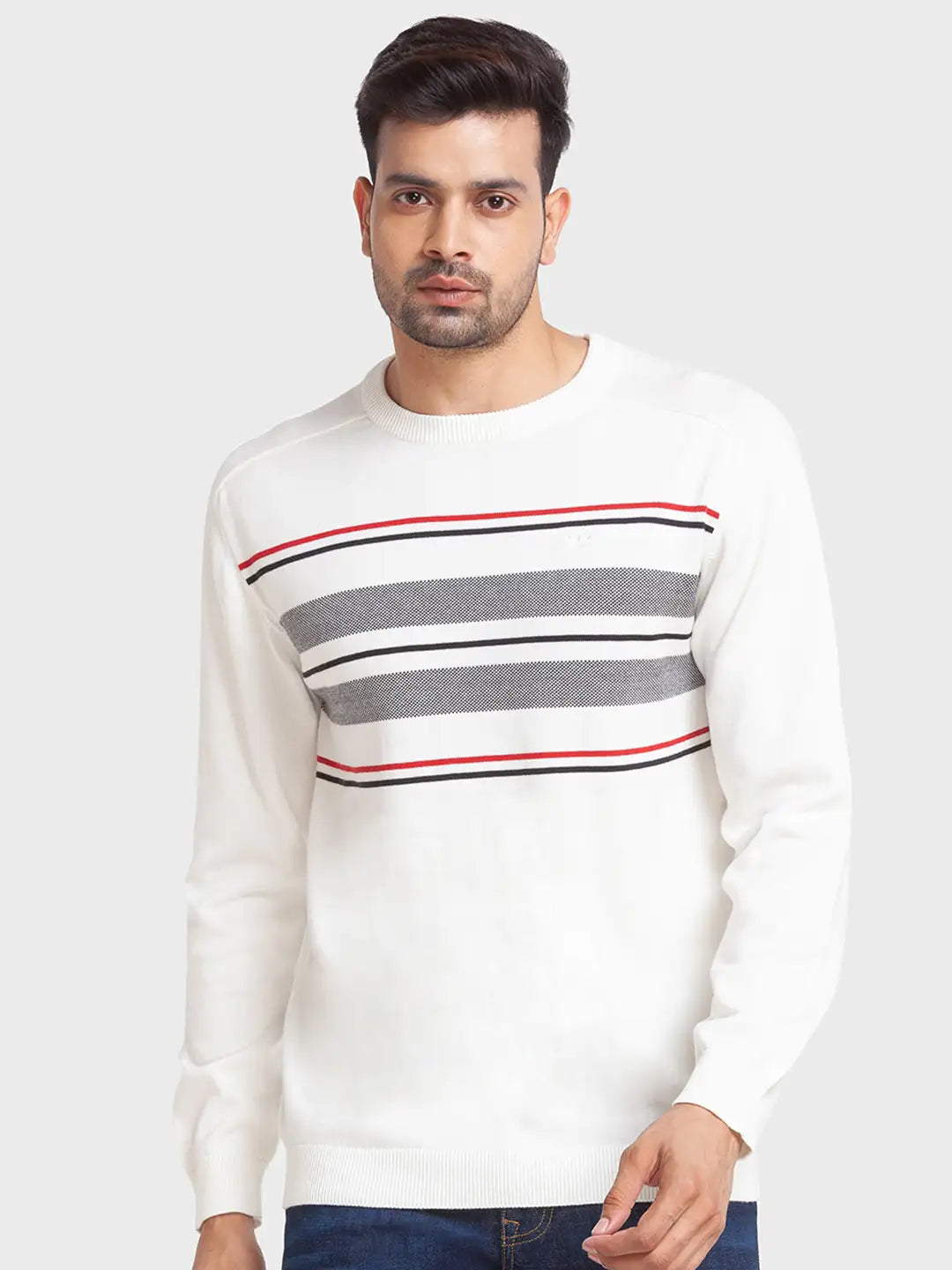 Men Tailored Fit Blue Sweater