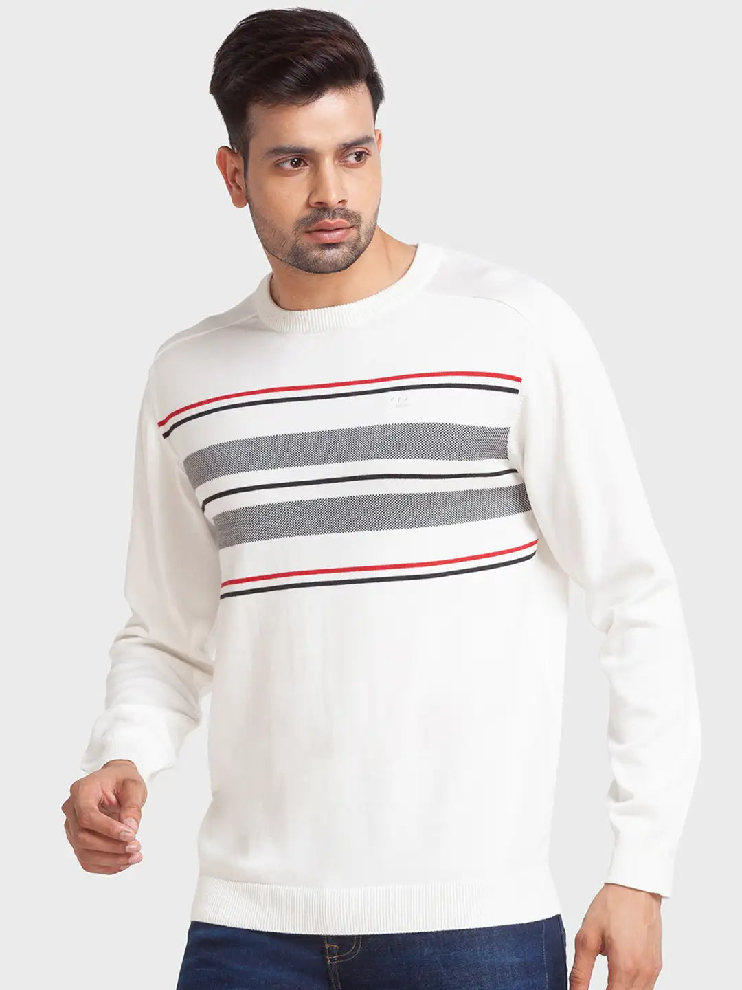 Men Tailored Fit Blue Sweater