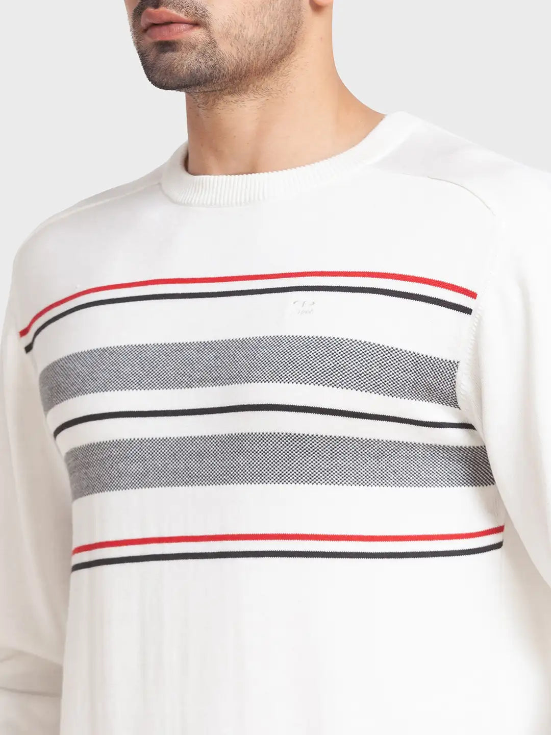 Men Tailored Fit Blue Sweater