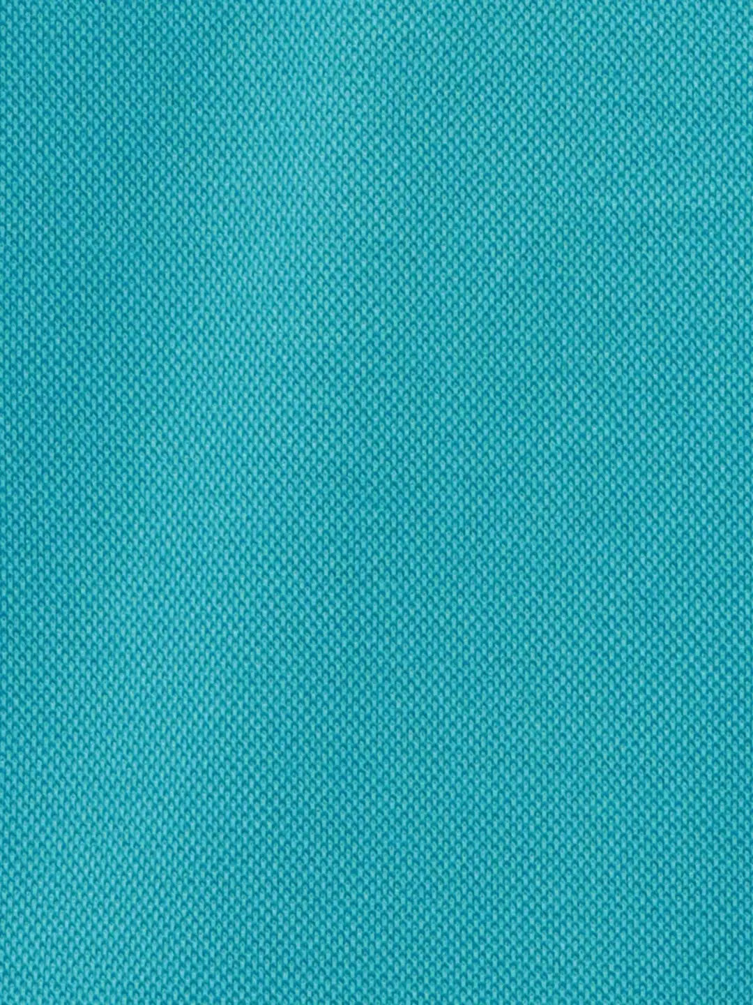 Colorplus Men Blue Solid Classic Fit Cotton Half Sleeve T-Shirt