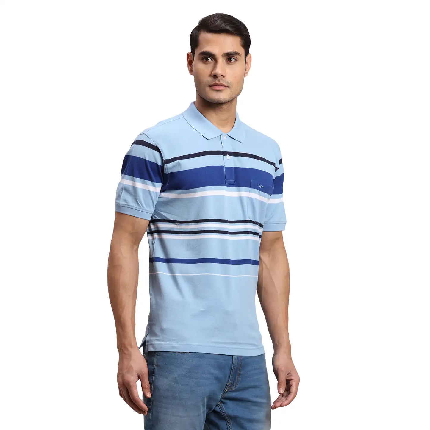 ColorPlus Men Navy Stripe Regular Fit Cotton Half Sleeve T-Shirt