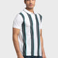 Men Tailored Fit Maroon T-Shirt & Polo