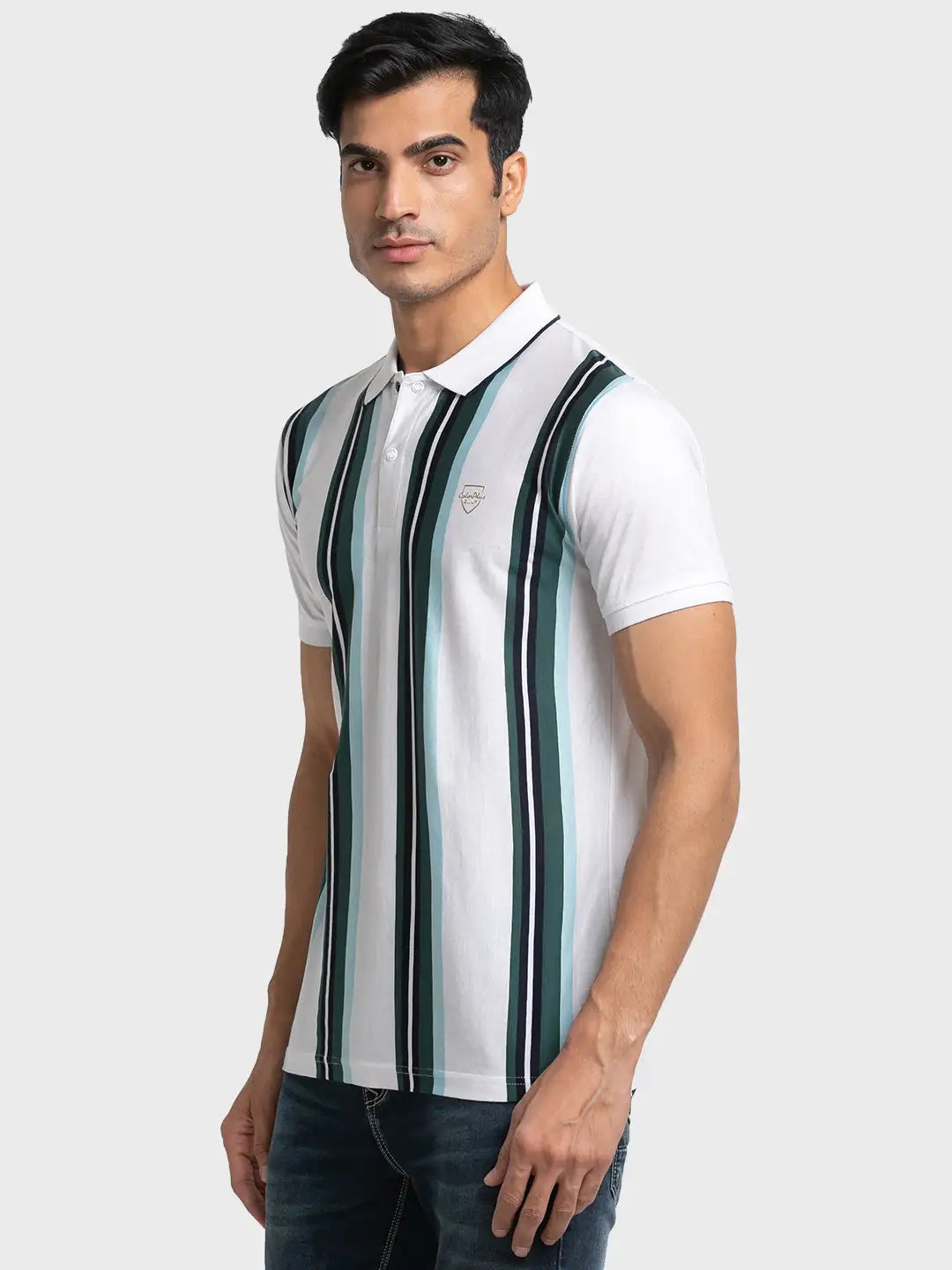 Men Tailored Fit Maroon T-Shirt & Polo