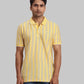 ColorPlus Regular Fit Striped Dark Green T-Shirt