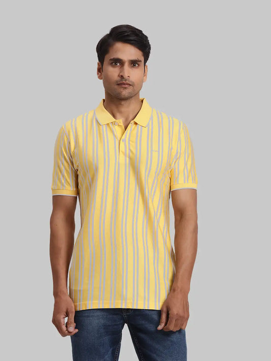 ColorPlus Regular Fit Striped Dark Green T-Shirt